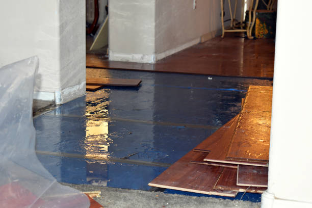 Professional Burst Pipe Water Damage technician working in Edgerton, OH